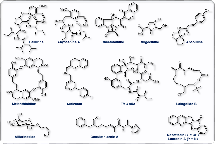 Natural products synthesized