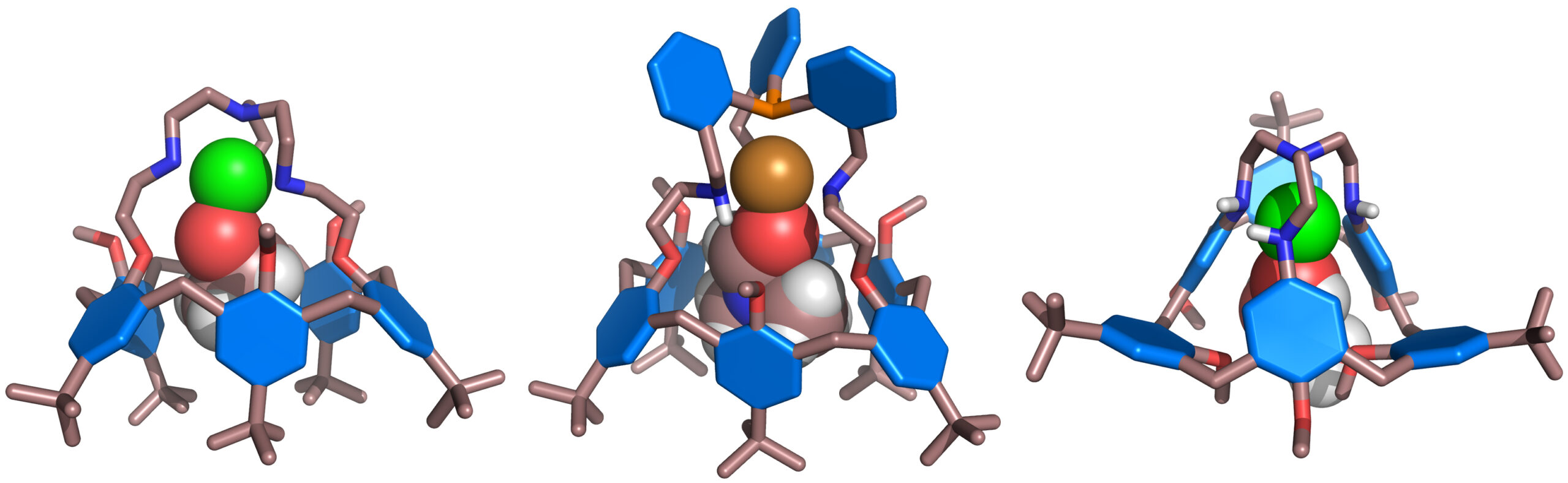 RX funnel complexes